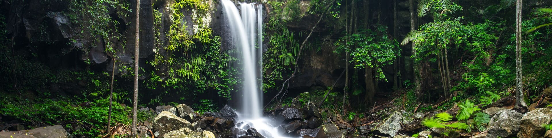 A waterfall in a forested area with clear water and rocks.