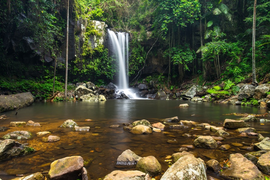 A waterfall in a forested area with clear water and rocks.