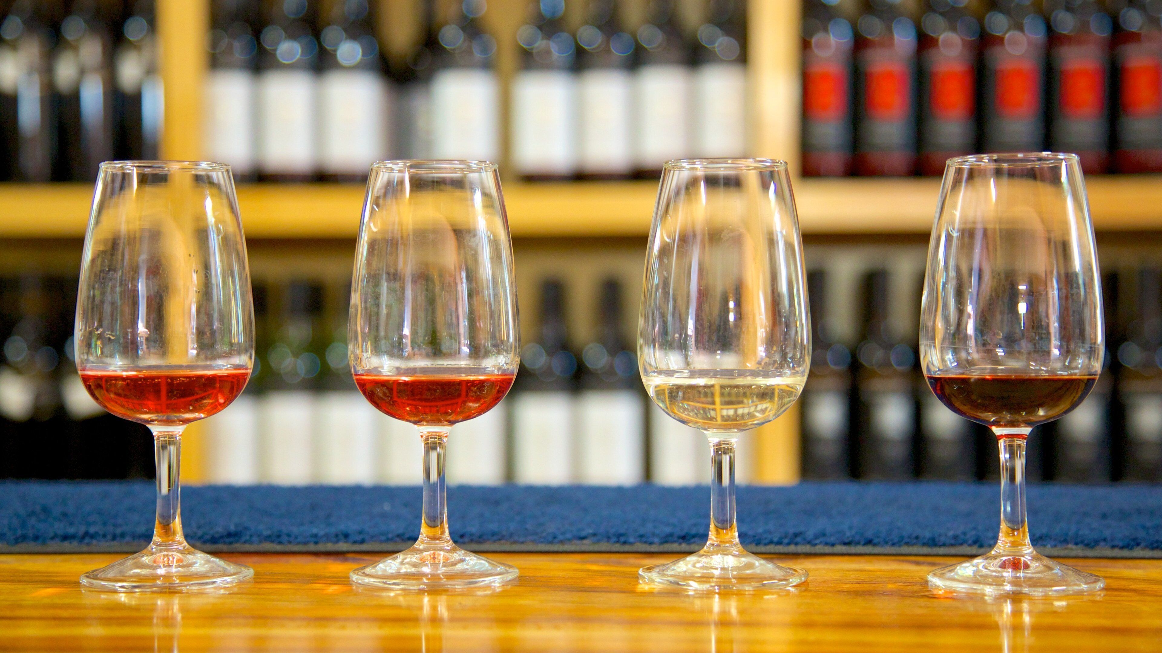 Mount Tamborine featuring interior views and drinks or beverages