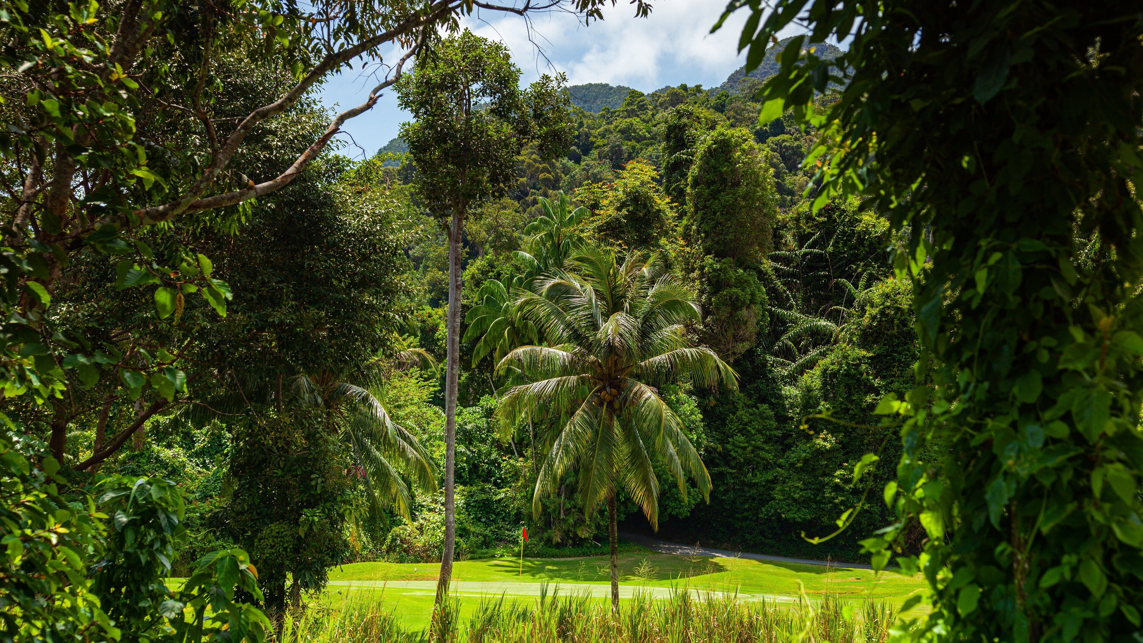 Kedah which includes golf