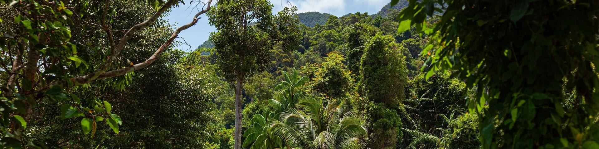 Kedah which includes golf