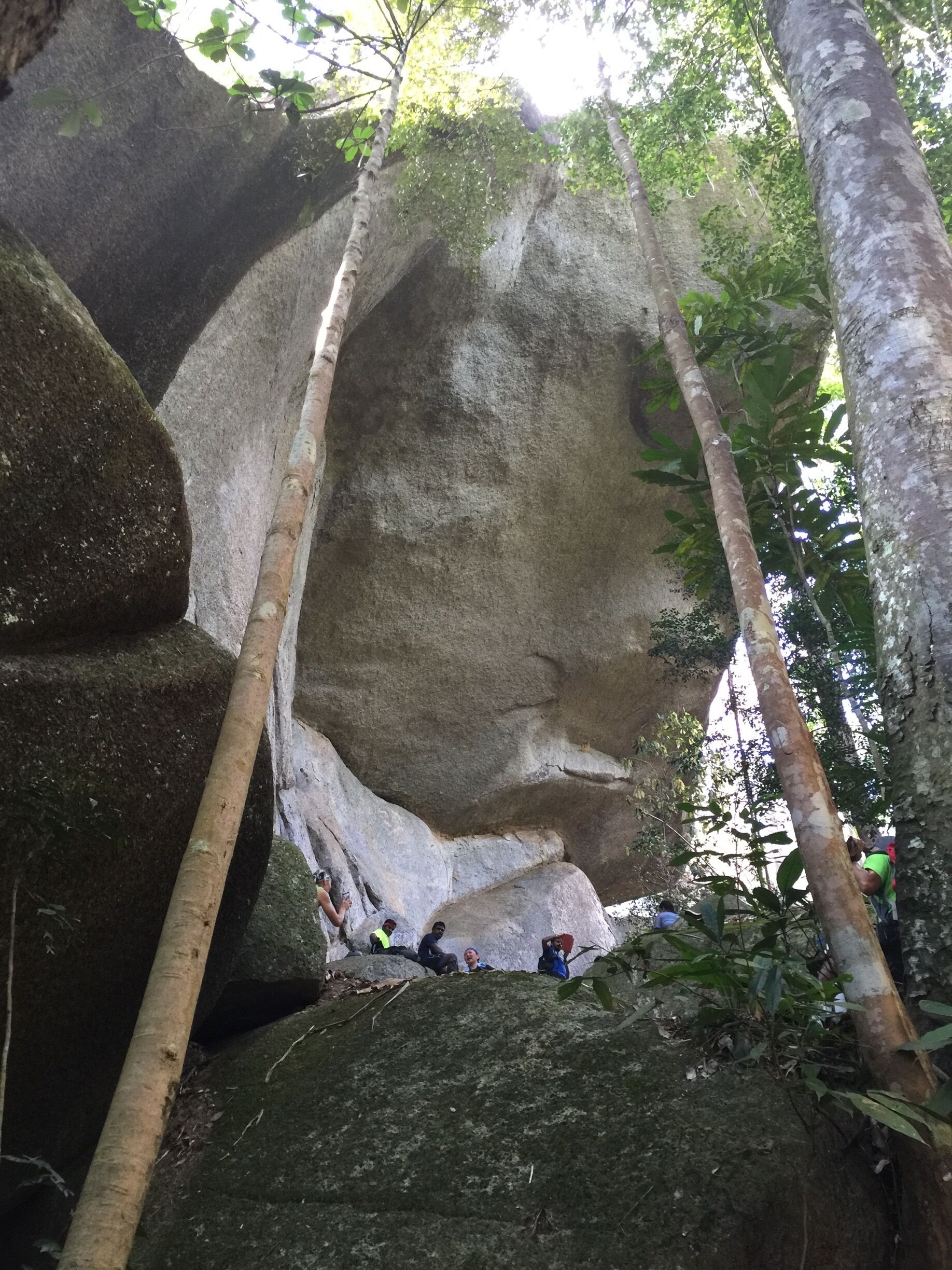 Amazing rock stands in the middle of jungle on the way to Waterfall..