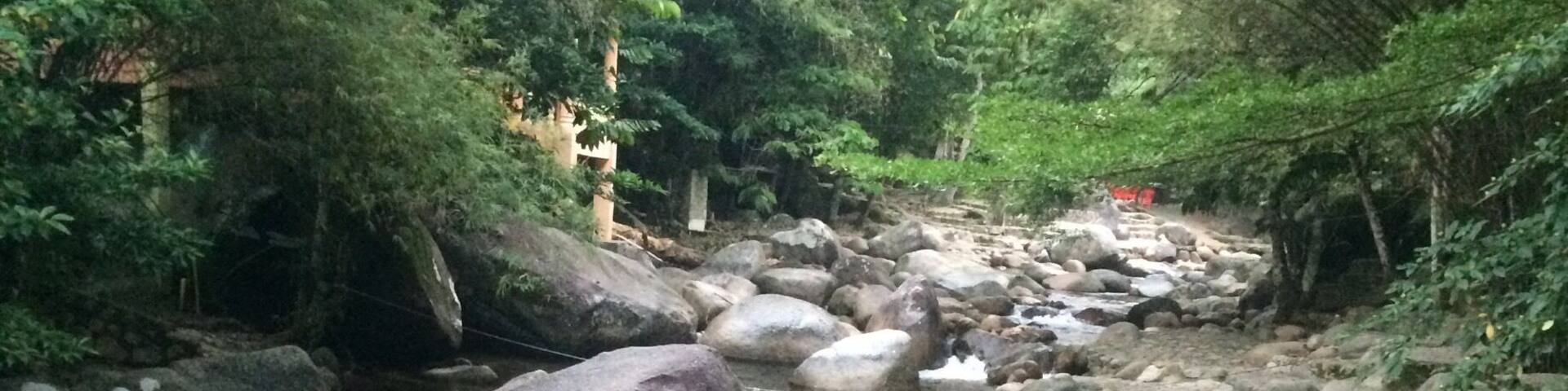 A clear stream flowing over rocks in a forested area.