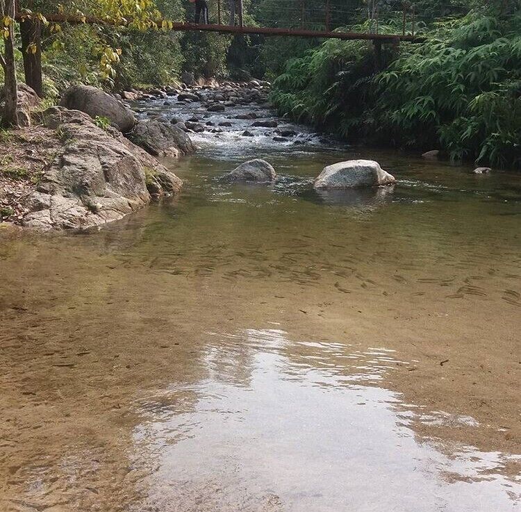 #ExpediaCares #ChillingWaterfalls

The Chilling Waterfalls is situated in one of Malaysia's many recreational parks. As the country is in the Titiwangsa Ranges, pristine waterfalls are everywhere and it is our duty to preserve this for the future generations.
