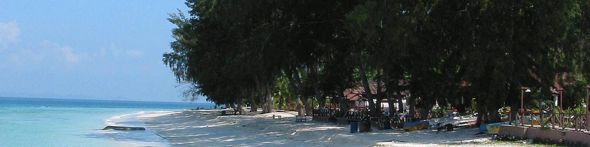 Johor featuring a sandy beach, tropical scenes and general coastal views