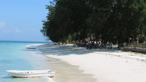 Johor featuring a sandy beach, tropical scenes and general coastal views