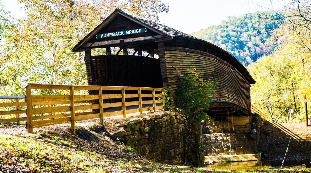 Such a neat covered bridge.