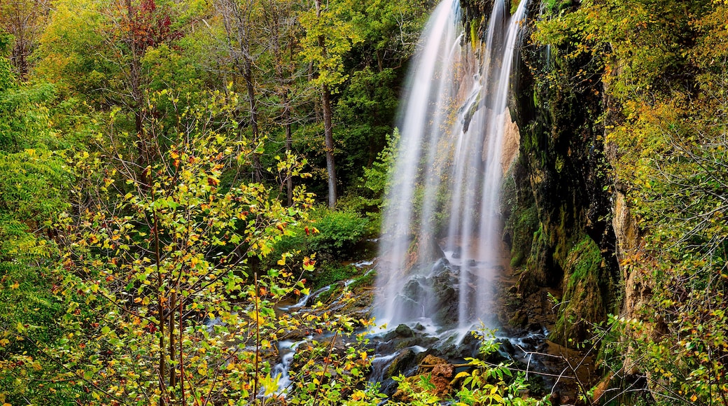Appalachian mountains long exposure of Falling Spring Waterfall and green yellow forest trees in rural countryside autumn in Covington, Virginia