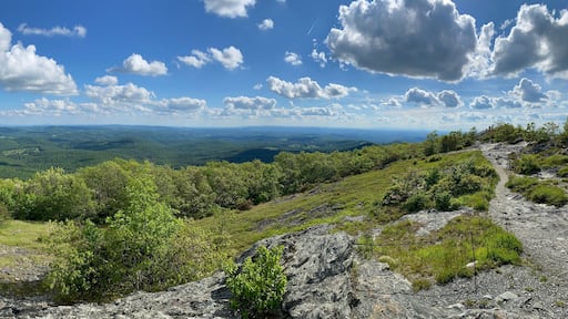Buffalo Mountain - Floyd County, VA