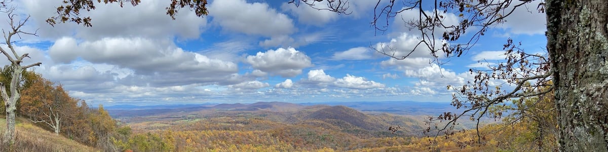 Eine Berglandschaft mit Herbstlaub, wolkenlosem Himmel und weit entfernten Hügeln.