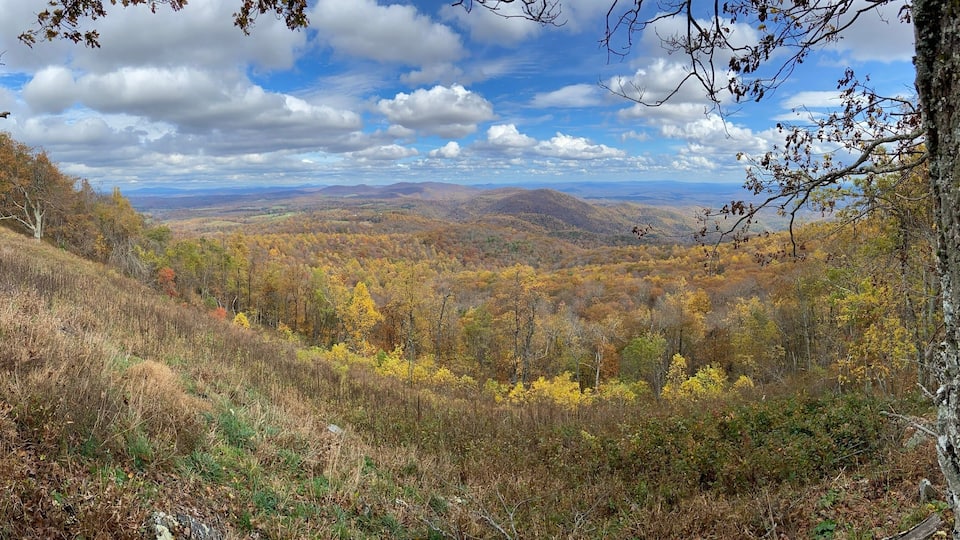 A mountainous landscape with autumn foliage, a clear sky, and distant hills.