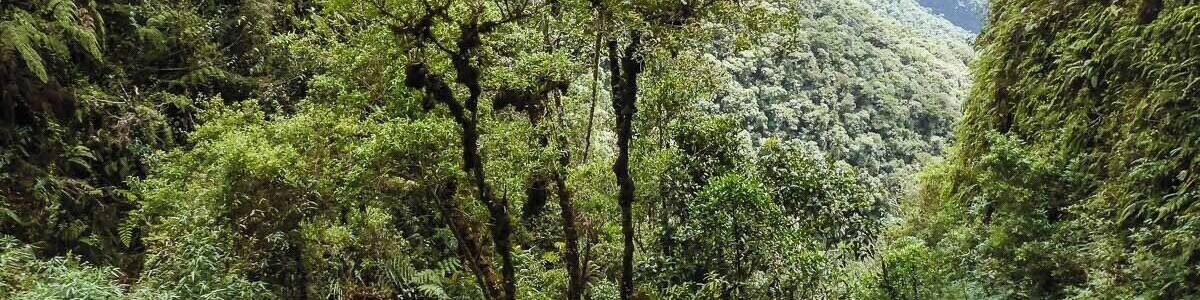 Death Road in Bolivia. Despite the dreadful name, the road offers mountain-bike enthusiasts a breathtaking scenery while they get the adrenaline rush of their lives. #Adventure