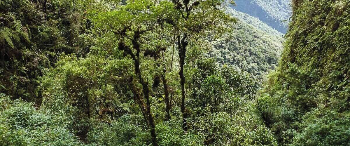 Death Road in Bolivia. Despite the dreadful name, the road offers mountain-bike enthusiasts a breathtaking scenery while they get the adrenaline rush of their lives. #Adventure