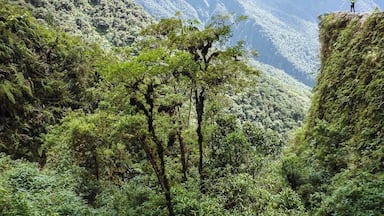 A mountainous landscape with dense green foliage and a person standing on a cliff edge.