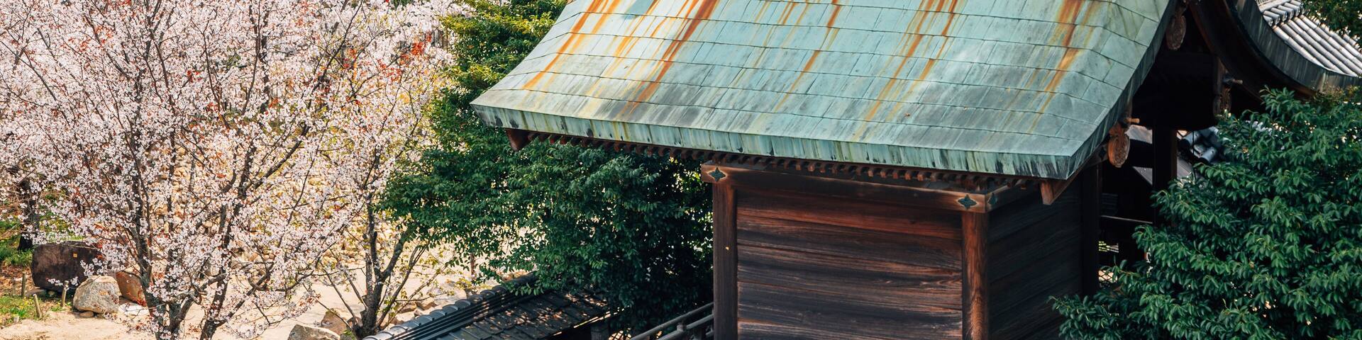 Koriyama castle park with cherry blossoms in Nara, japan