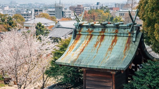 Koriyama castle park with cherry blossoms in Nara, japan