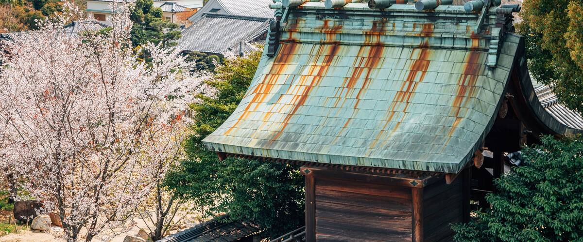 A traditional Japanese building with a rusted metal roof, surrounded by cherry blossoms and modern buildings in the background.