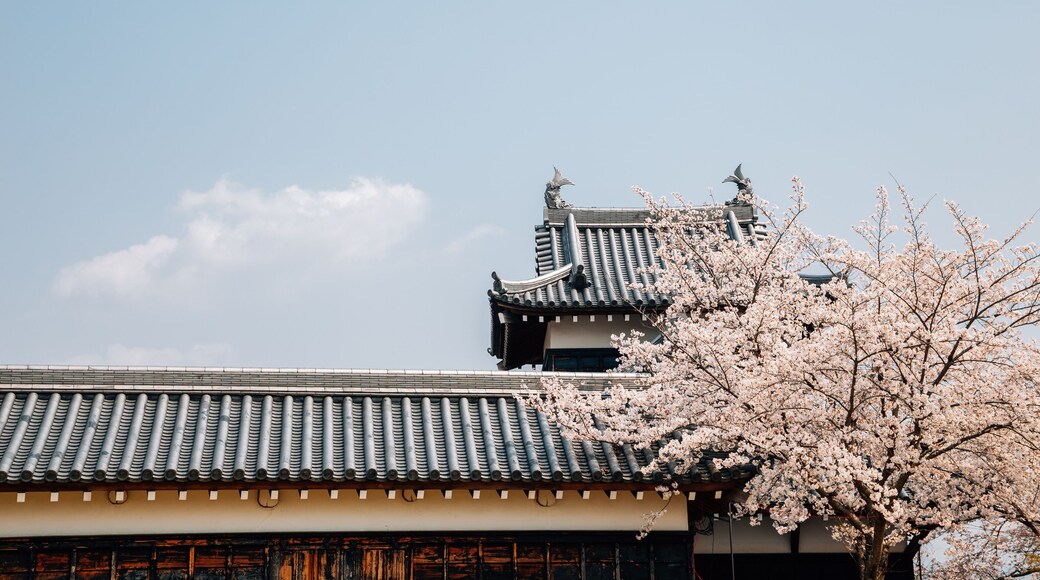 Koriyama castle park with cherry blossoms in Nara, japan