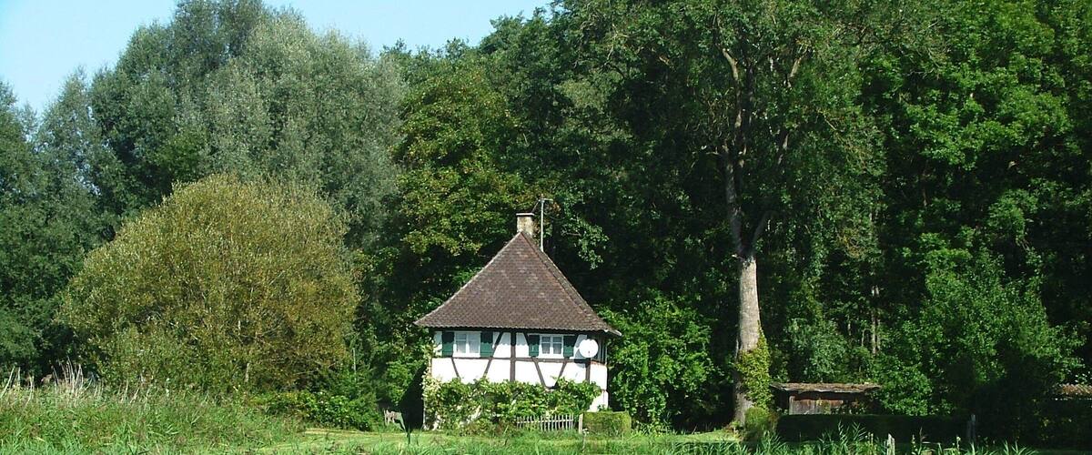 A white cottage with a thatched roof surrounded by lush greenery and a calm pond.