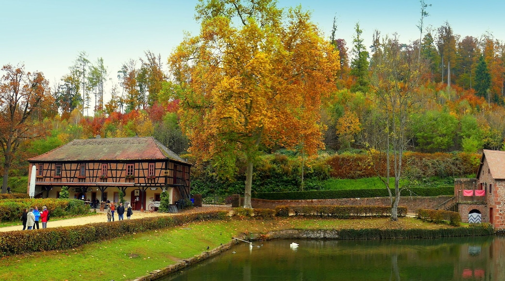 weites Panorama vom Wasserschloss Mespelbrunn im Spessart vor malerischem Wald mit schönem See