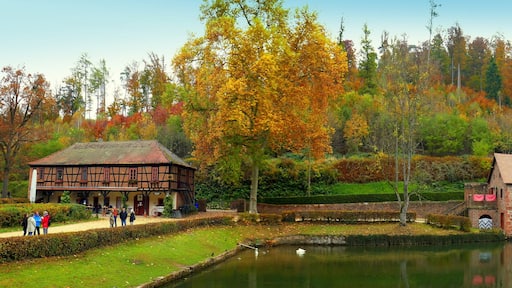 weites Panorama vom Wasserschloss Mespelbrunn im Spessart vor malerischem Wald mit schönem See
