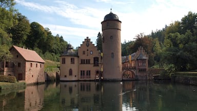The last of the castles on our recent tour of Germany, but by no means the least.
What a stunning setting for a castle! Well worth a visit (the hotel right next door is very charming too!)
Wikipedia describes it as follows:
Mespelbrunn Castle is a late-medieval/early-Renaissance moated castle on the territory of the town of Mespelbrunn, between Frankfurt and Würzburg, built in a tributary valley of the Elsava valley, within the Spessart forest. It is a popular tourist attraction and has become a famous Spessart landmark.
#instone