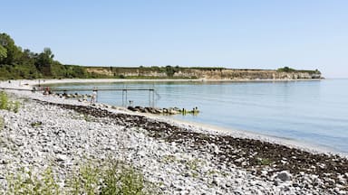 Una costa rocosa con un muelle que se adentra en aguas tranquilas, rodeada de acantilados y vegetación.