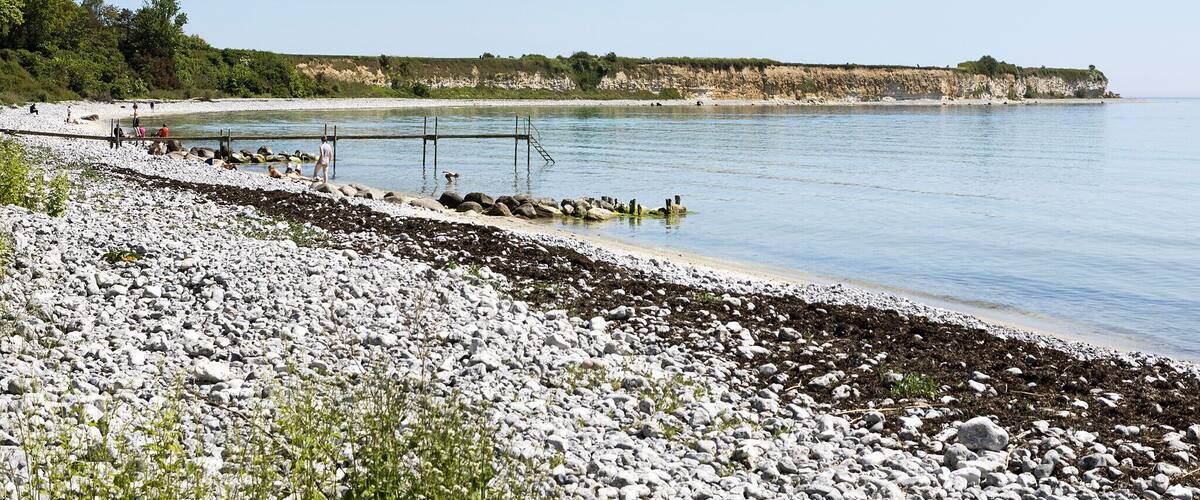 A rocky shoreline with a pier extending into calm waters, surrounded by cliffs and greenery.