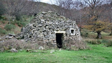 Brañas en el puerto Ventana