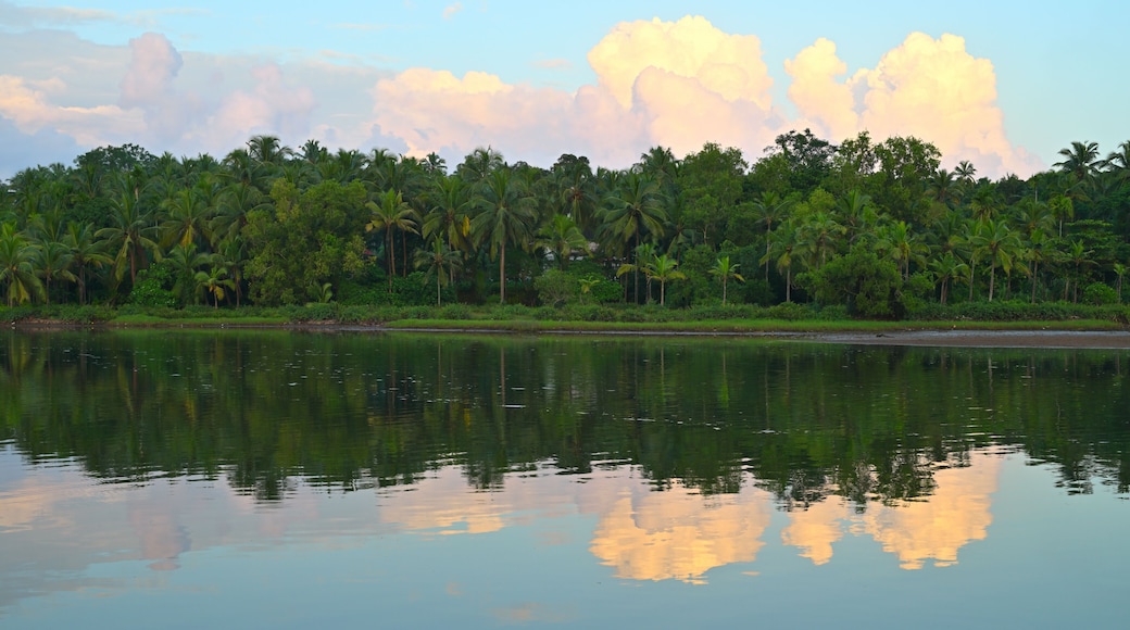 ์นด์ฌ๋ผ๊ณ ๋