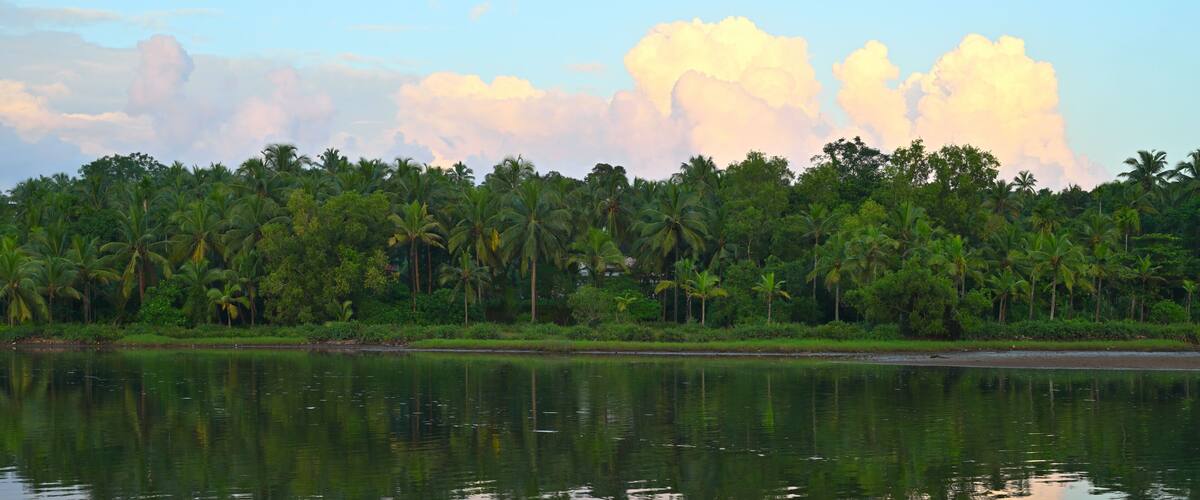 A calm lake with reflections of palm trees and a clear sky.