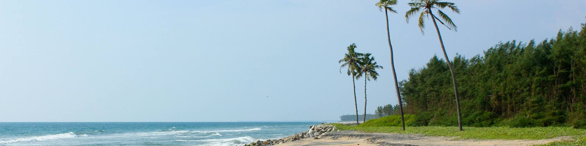 A beach with a rocky shoreline, palm trees, and ocean waves.