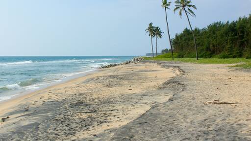 A beach with a rocky shoreline, palm trees, and ocean waves.