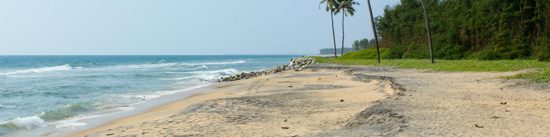 Una playa con costa rocosa, palmeras y olas del océano.