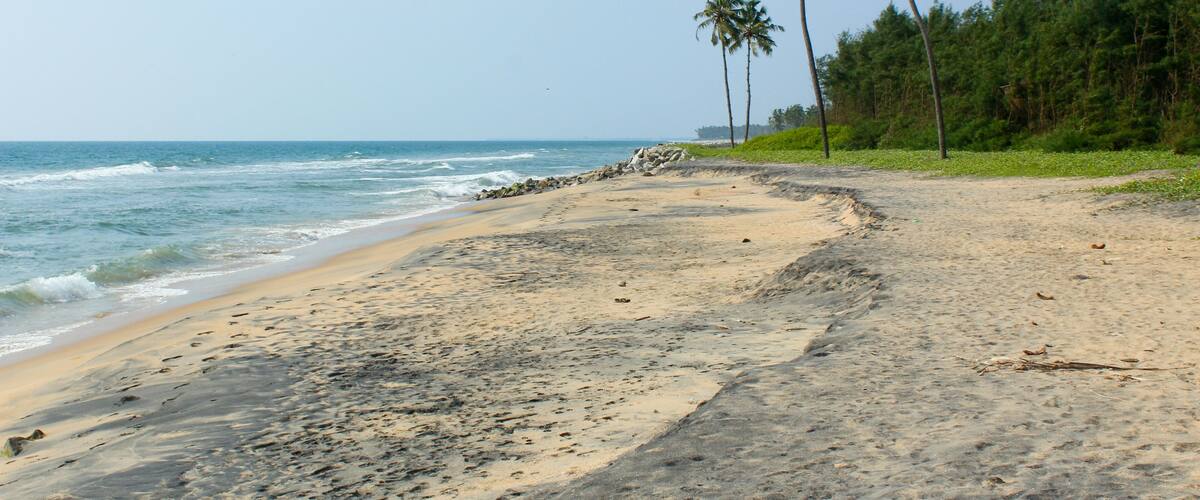 A beach with a rocky shoreline, palm trees, and ocean waves.