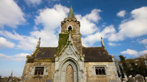 Abandoned Castlehyde church and cemetery Ireland