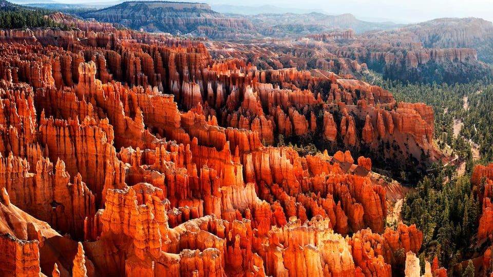 A canyon with red rock formations and a forested valley.