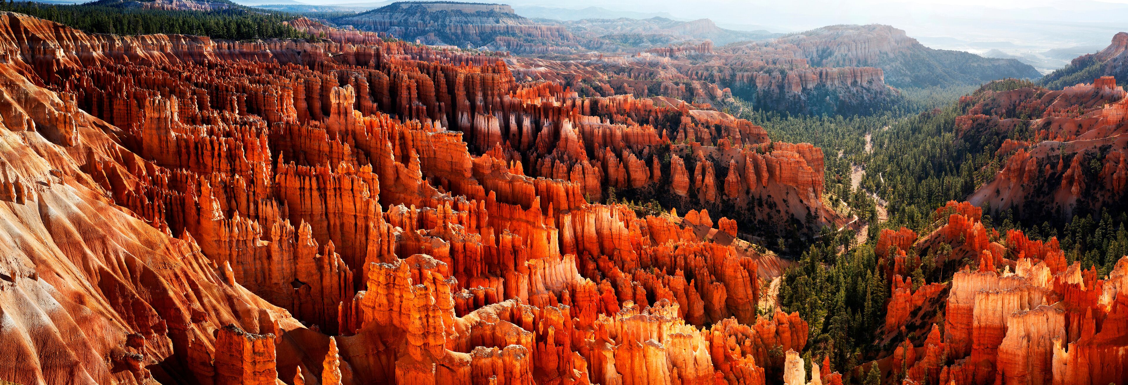 A canyon with red rock formations and a forested valley.