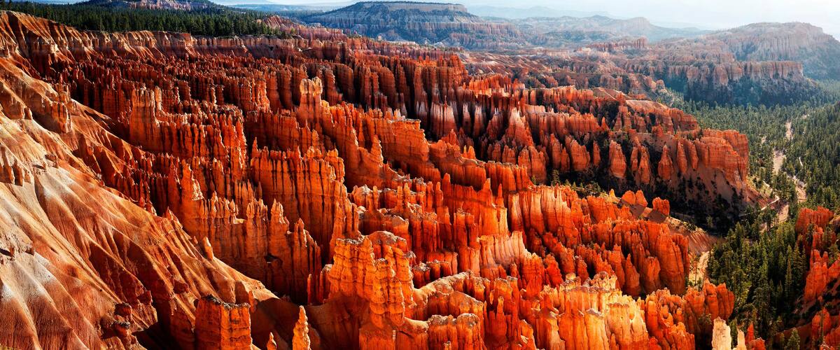 A canyon with red rock formations and a forested valley.