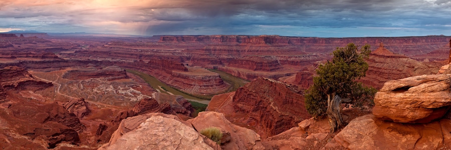 A canyon with layered rock formations, a river, and a prominent tree.