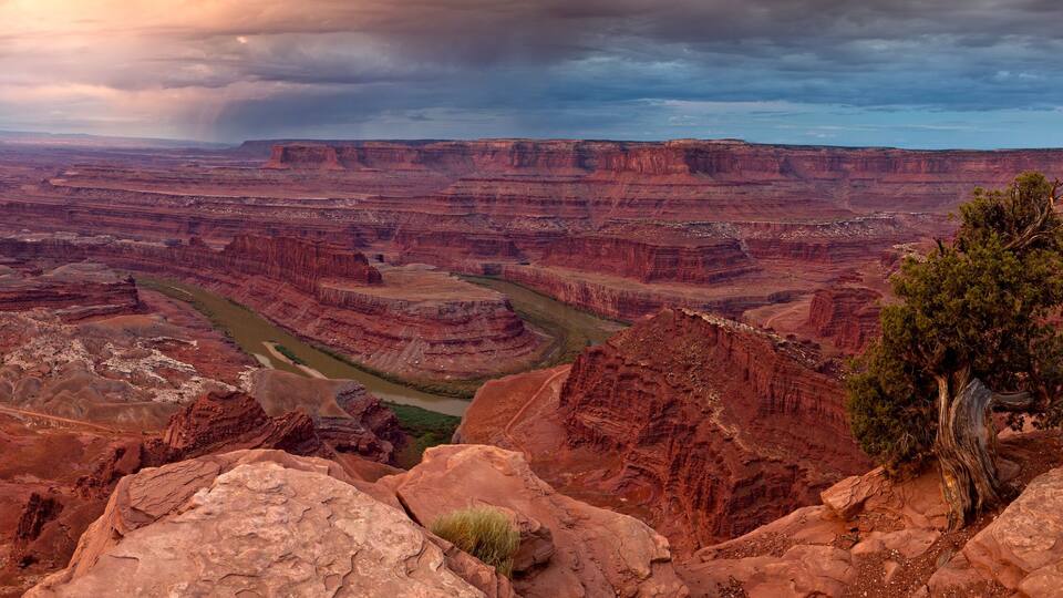 A canyon with layered rock formations, a river, and a prominent tree.