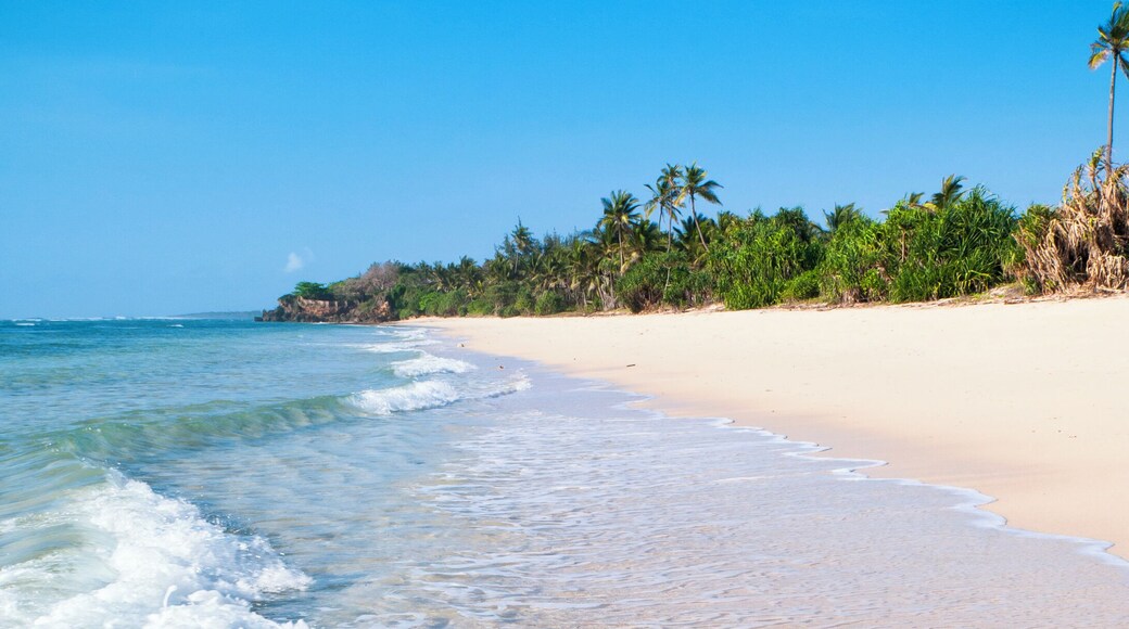 View along the idyllic beach at Msambweni, near Diani on Kenya's Coast, West Africa.