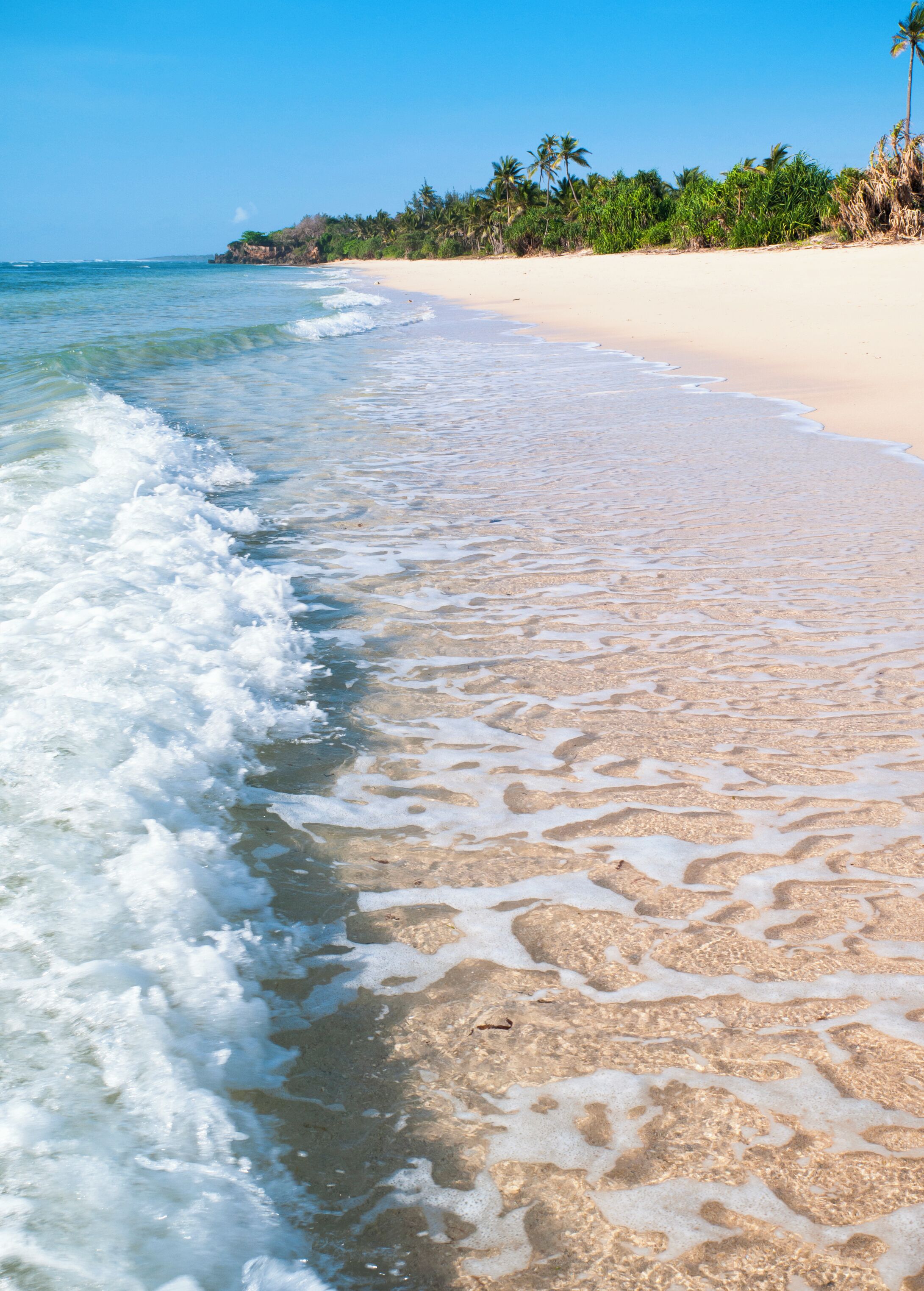 A sandy beach with gentle waves and palm trees in the background.