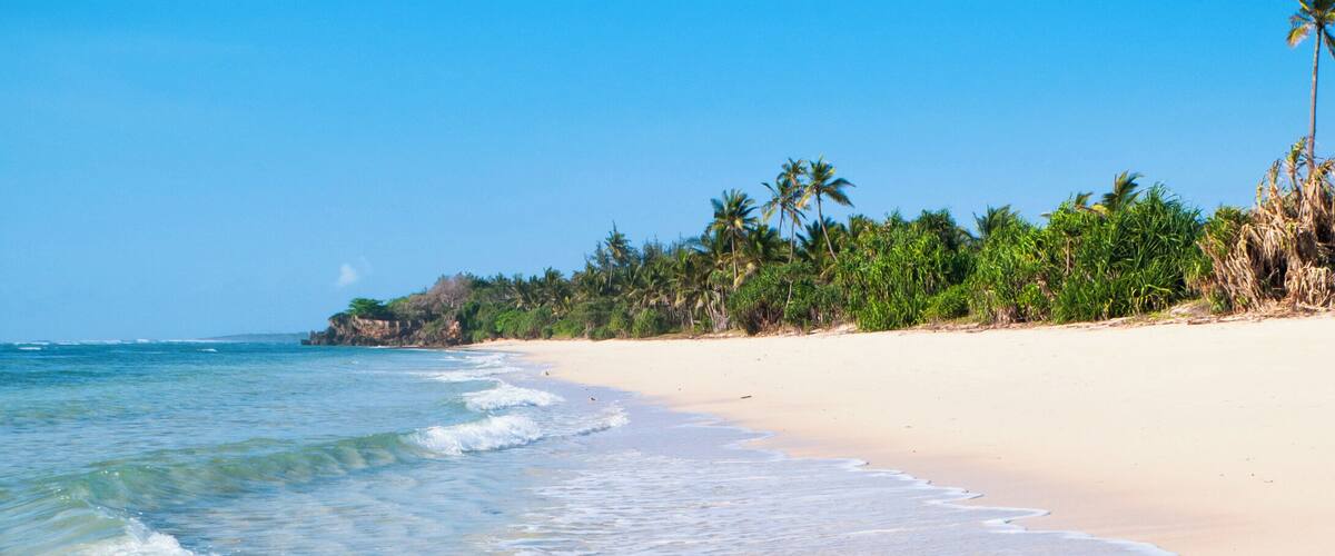 A sandy beach with gentle waves and palm trees in the background.