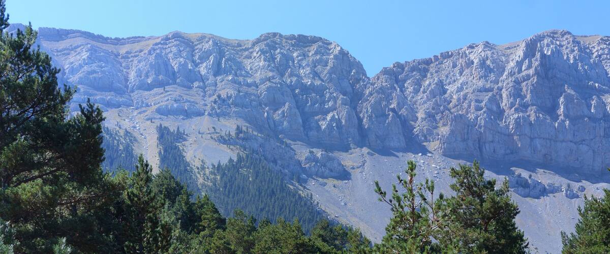 Rugged mountains with dense pine forests in the foreground.