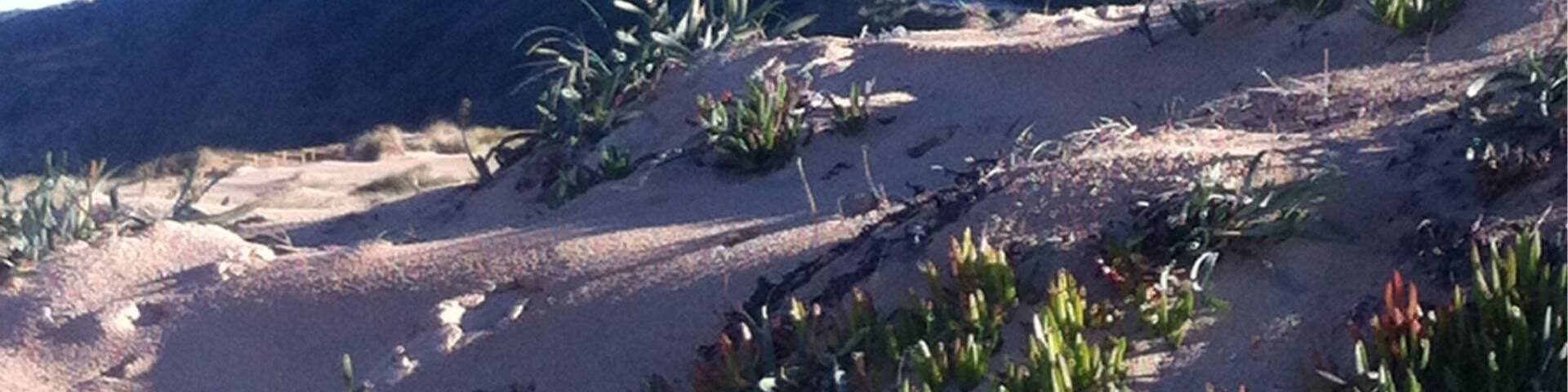 Algarve coast to coast by Bike in 3 days