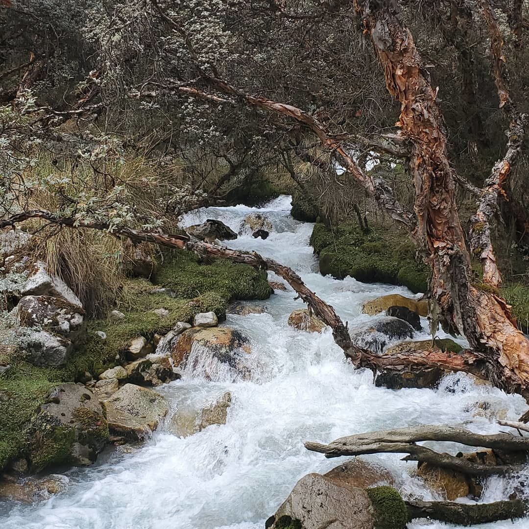 Wondrous streams and waterfalls flood my vision on the way up to Laguna 69. 😍 #adventure#AncashRegion#PeruvianAndes
