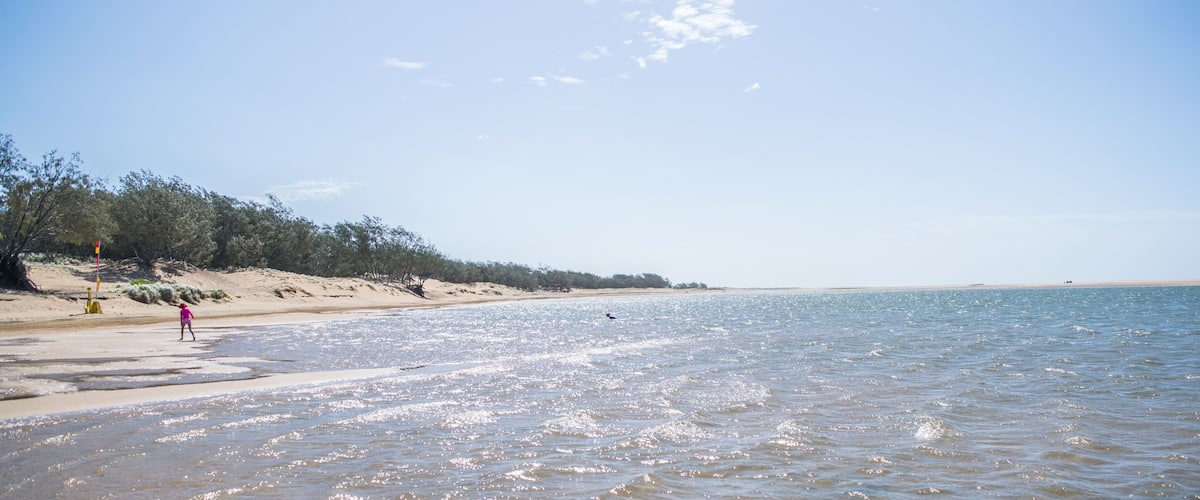 A beach with clear skies, gentle waves, and sparse vegetation.