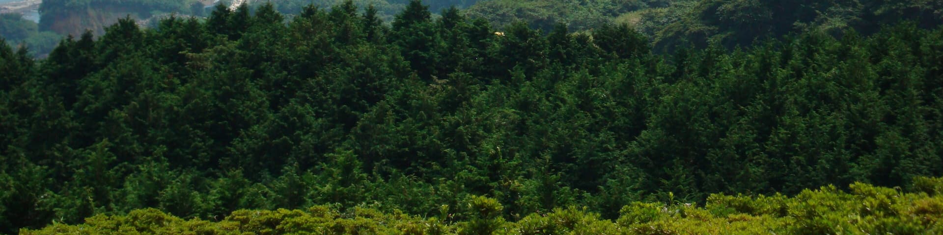 Manazuru town and Manazuru Peninsula