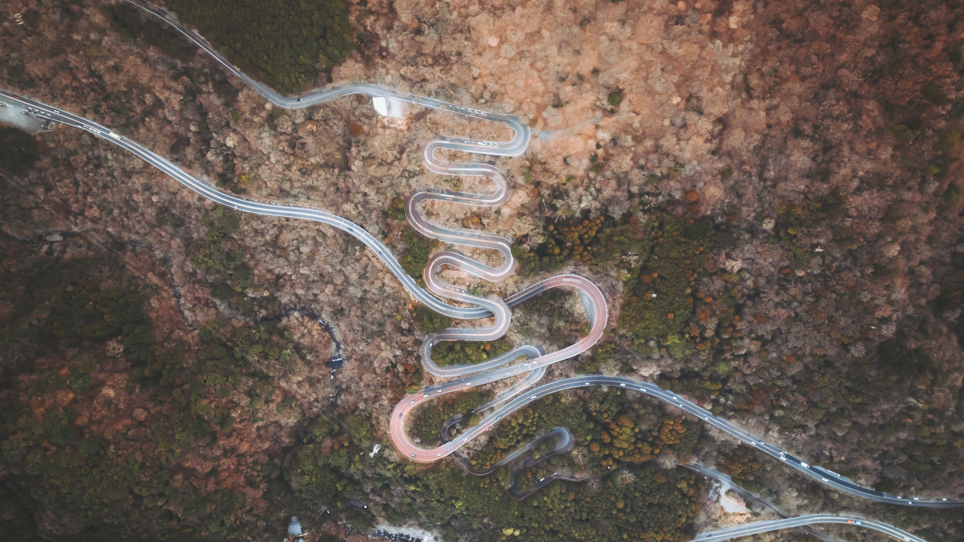 Aerial view of a winding road snaking through a forest, its curves contrasting with the surrounding trees, Mt. Taikan Observation Deck, Yugawara, Kanagawa, Japan.